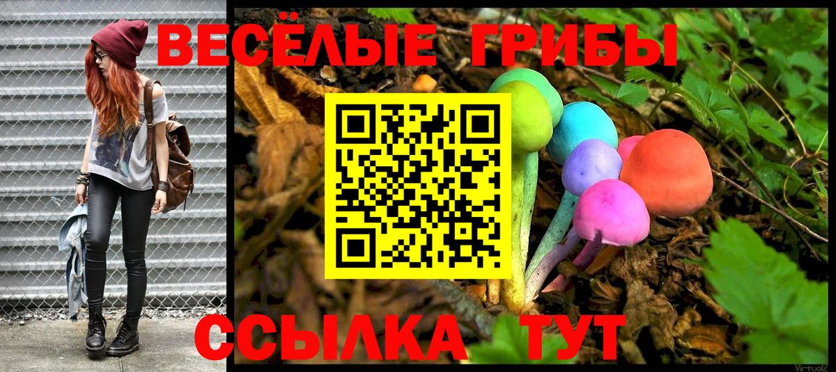 Псилоцибиновые грибы Magic Shrooms Нягань