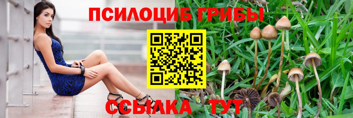 Нягань  Псилоцибиновые грибы GOLDEN TEACHER  Вход с VPN 